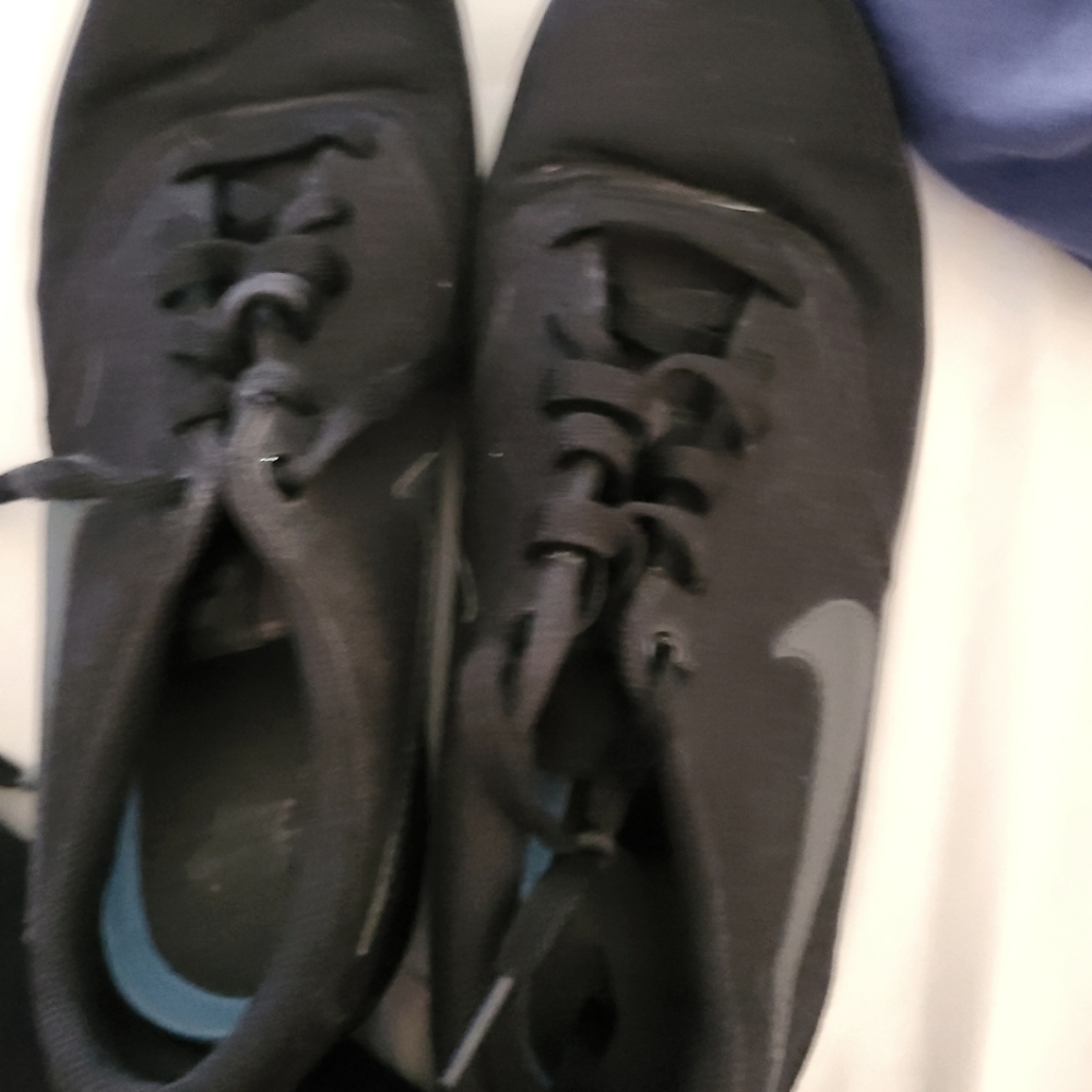 Men nike sb canvas